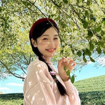 红盾先锋
